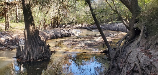 Downstream Withlacoochee River below I-75, 11:53:37, 30.8536398, -83.3329897