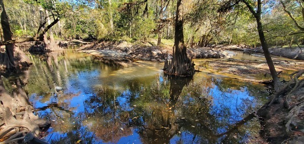 Up and down Withlacoochee River below I-75, 11:53:42, 30.8536398, -83.3329897