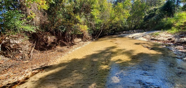 Upstream Sugar Creek, 12:09:07, 30.8625666, -83.3186280