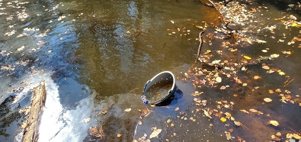 Closeup, Bucket above Langdale Park Boat Ramp, Withlacoochee River, 12:28:57, 30.8876, -83.32415