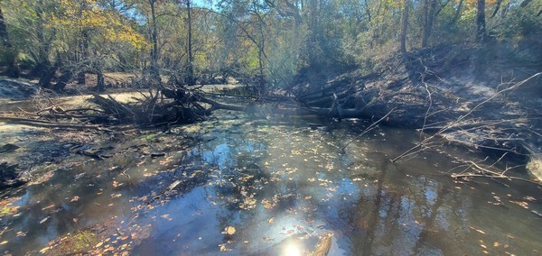 Downstream deadfall, Withlacoochee River @ Langdale Park Boat Ramp, 12:29:05, 30.8876, -83.32415