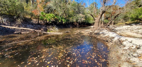 Upstream to sample site above Langdale Park Boat Ramp, 12:29:08, 30.8875, -83.324