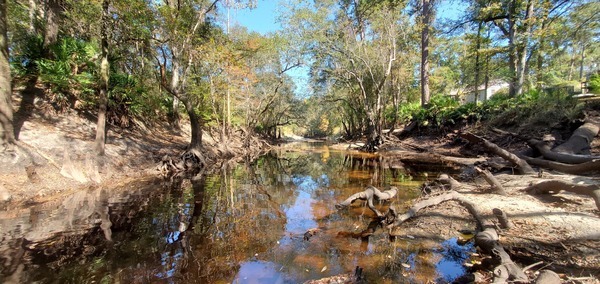 Upstream to test site, Withlacoochee River @ Staten Road, 13:06:06, 30.9279, -83.29344