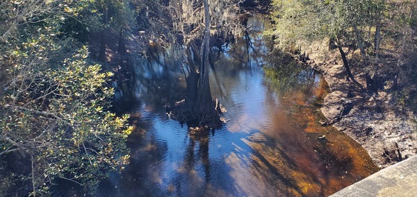 Closeup, Withlacoochee River @ Skipper Bridge, 13:35:58, 30.948960, -83.271931