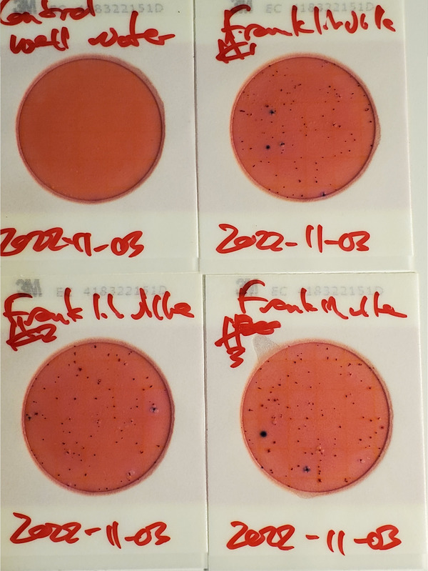 200 cfu/100 mL, Plates, Franklinville Landing, Withlacoochee River