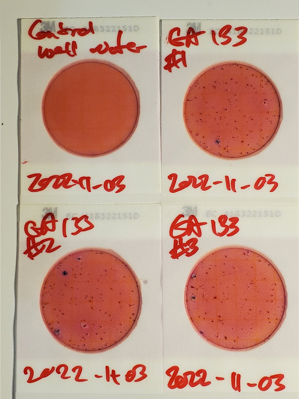 200 cfu/100 mL, Plates, GA 133 Bridge, Withlacoochee River