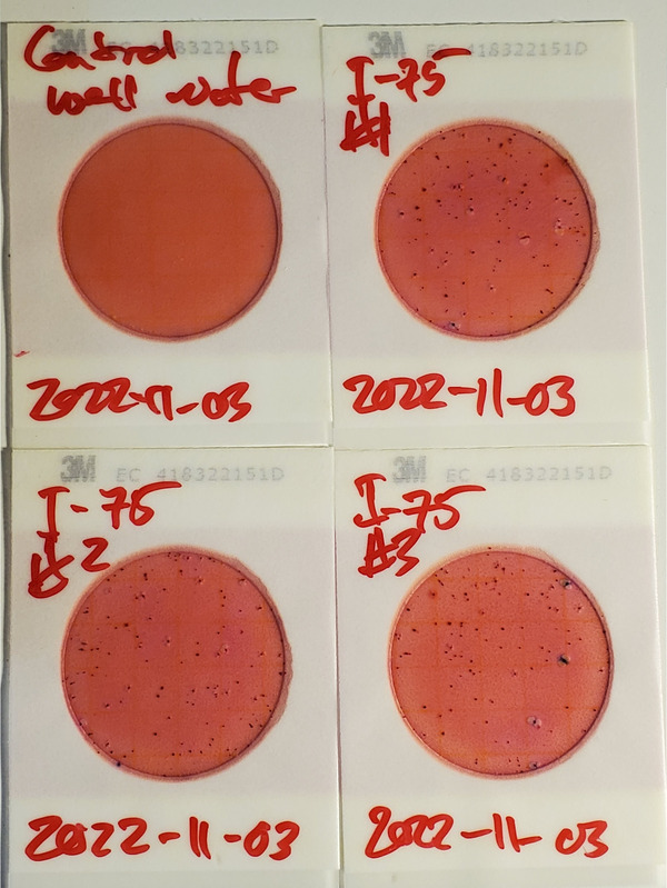 166 cfu/100 mL, Plates, I-75 Landing, Withlacoochee River