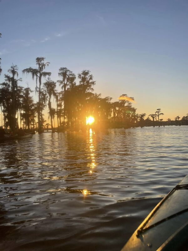 Sun inside cypress