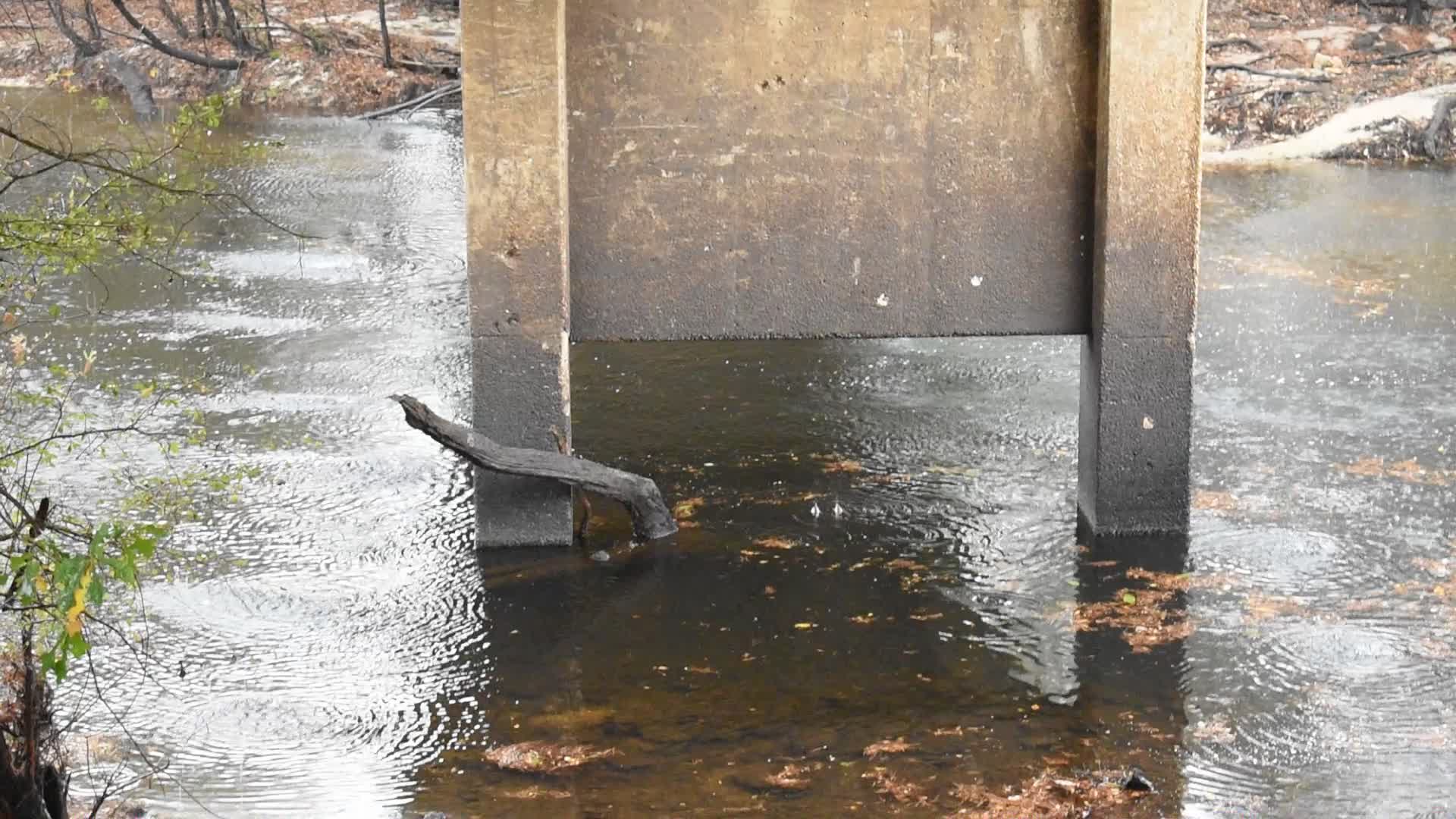 Movie: Nankin Boat Ramp Water Level, Withlacoochee River @ Clyattville-Nankin Road 2022-11-10