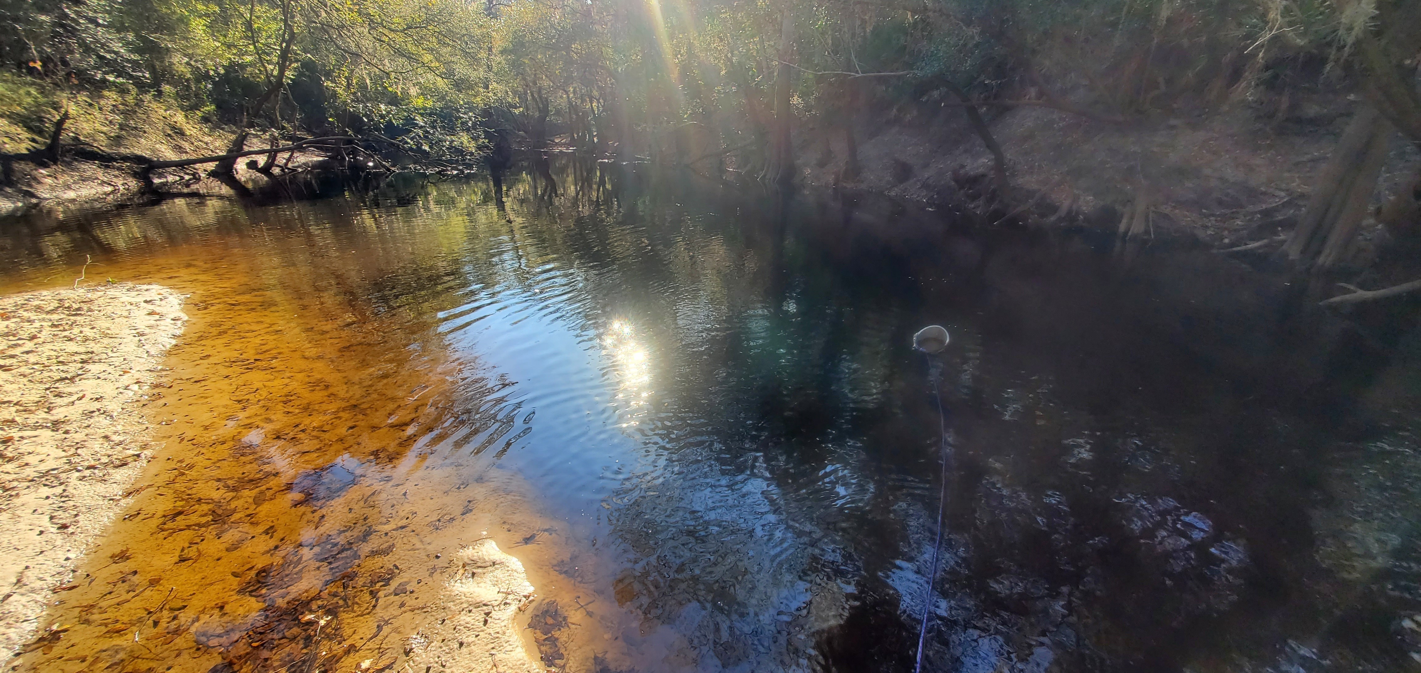 Bucket, Withlacoochee River, downstream Staten Road, 2022-11-13 15:27:32, 30.9281091, -83.2934532