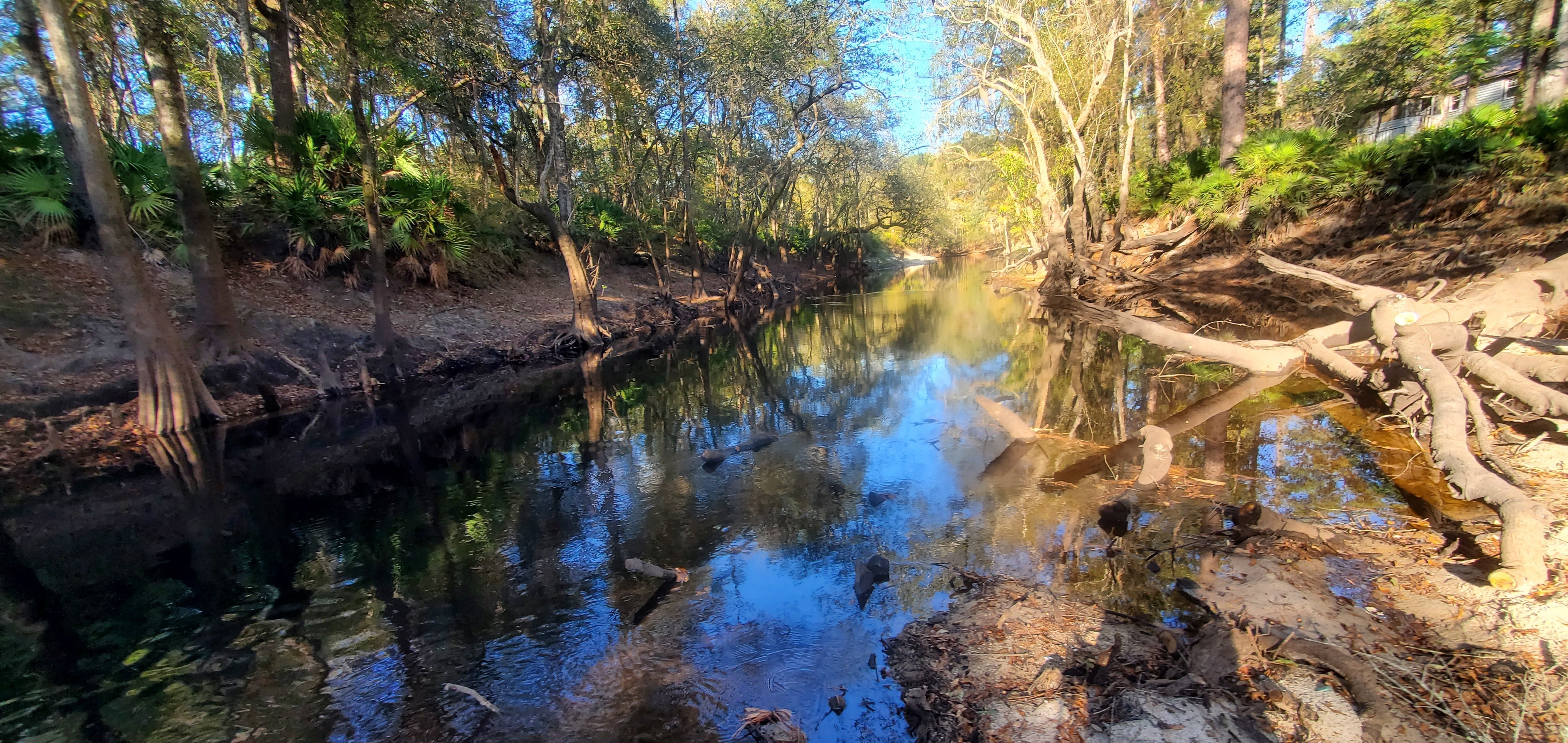 Upstream, Withlacoochee River, Staten Road, 2022-11-13 15:27:34, 30.9281091, -83.2934532