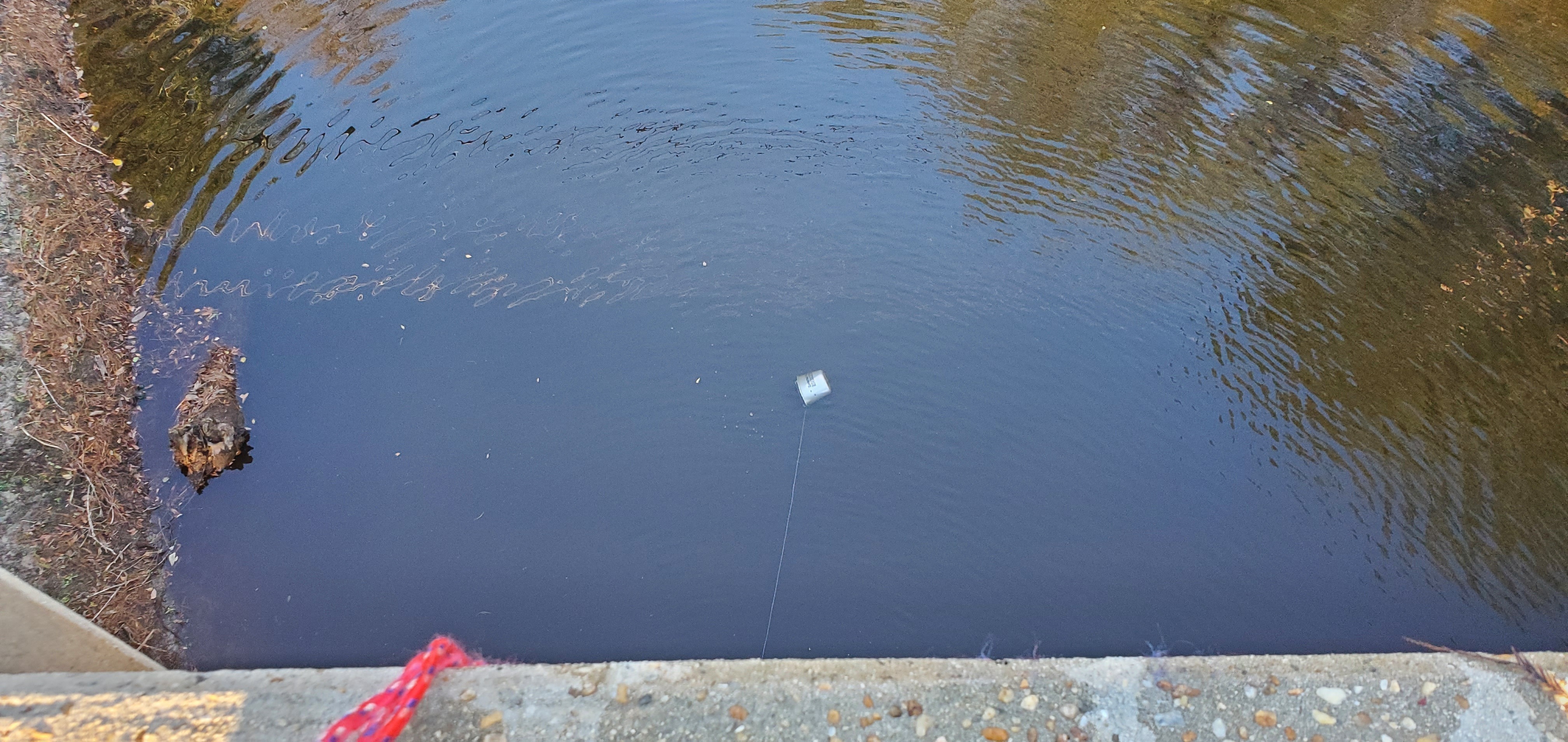 Bucket, upstream, Withlacoochee River, US 41, 2022-11-13 16:29:37, 30.8928420, -83.3189167