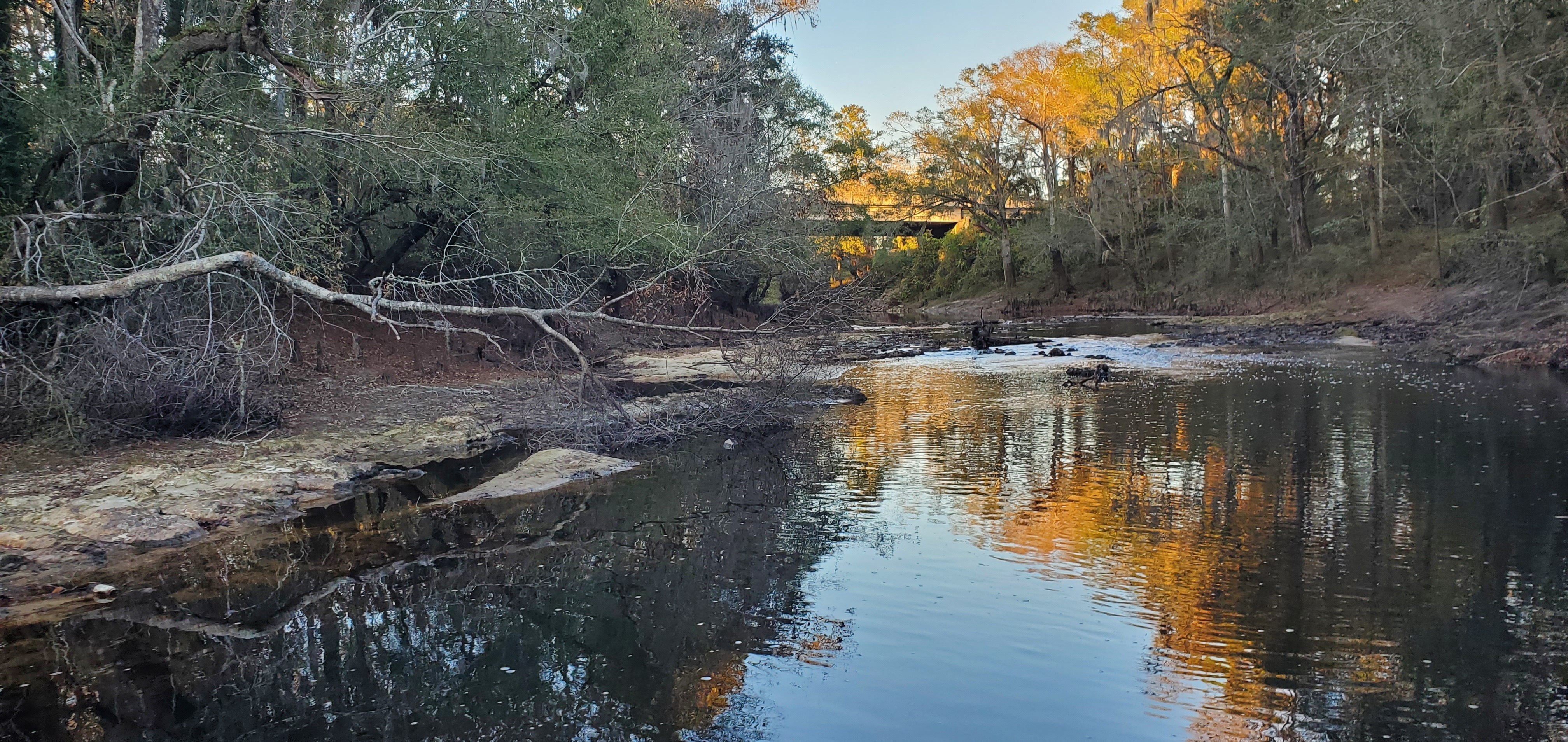 Troupville Dam remains, Little River, 2022-11-13 17:07:03, 30.8515406, -83.3476540