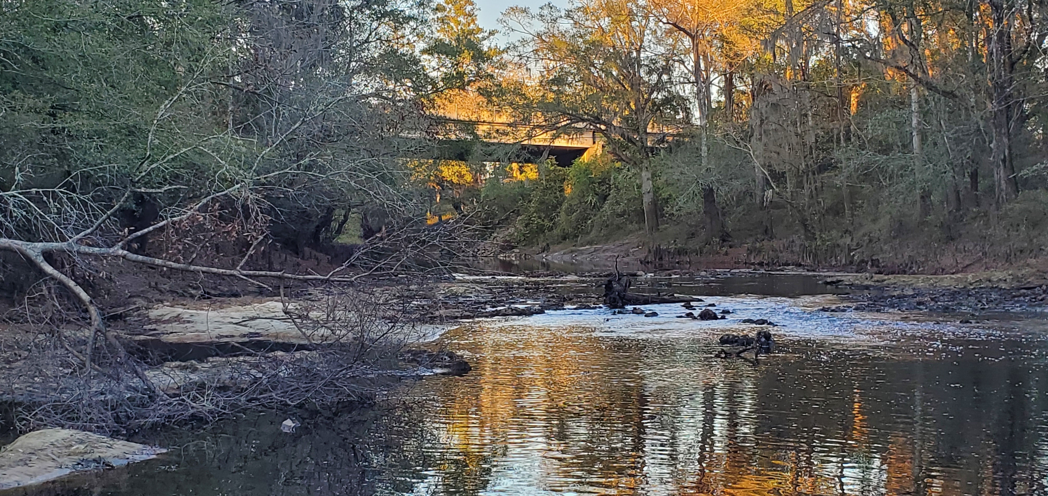 Troup Bridge, Little River, 2022-11-13 17:07:07, 30.8515406, -83.3476540