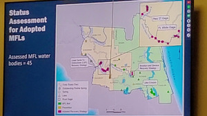 [Status Assessment for Adopted MFLs (Assessed MFL water bodies = 45)]