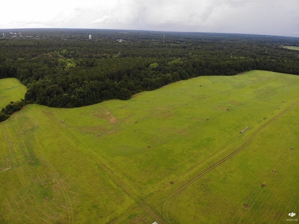 Looking NW to Quitman from Quitman LAS