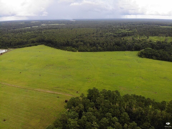 Looking ENE to Langboard from Quitman LAS