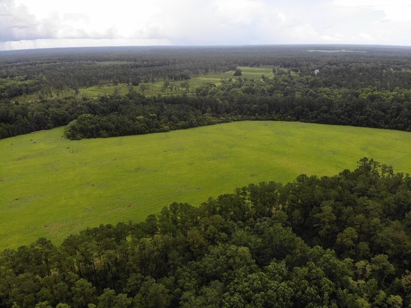 Looking SSE from Quitman LAS