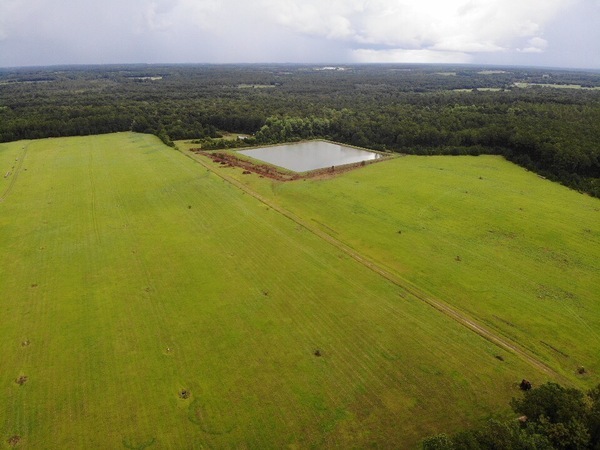 Looking NNE over Quitman LAS pond