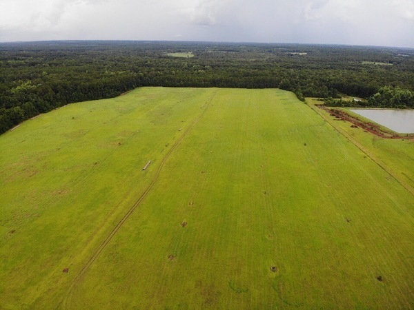 Looking N over Quitman LAS pond