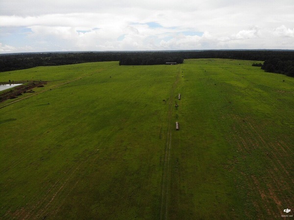 Looking S across Quitman spray field