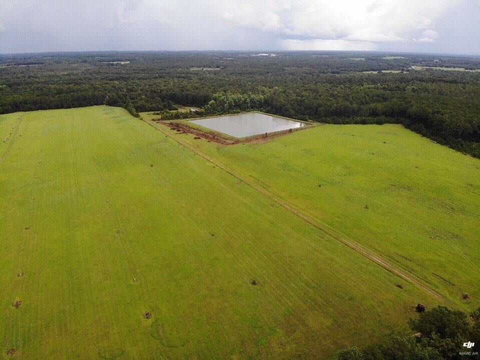 Looking NNE over Quitman LAS pond