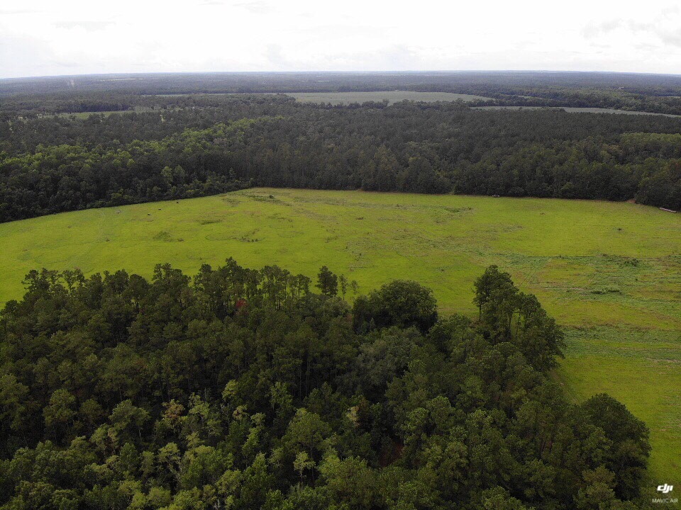 Looking SSW from Quitman LAS