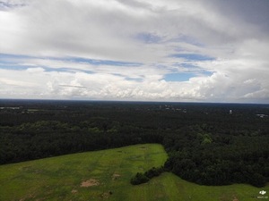 [Looking WNW to Quitman from Quitman LAS]