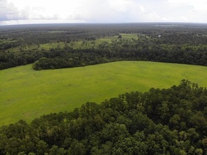 [Looking SSE from Quitman LAS]