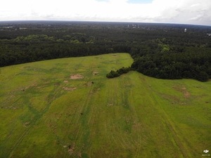 [Looking W to Quitman across Quitman LAS]