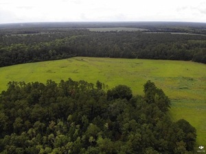 [Looking SSW from Quitman LAS]