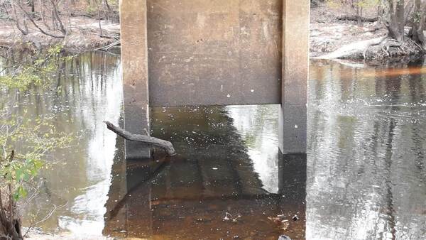 Movie: Nankin Boat Ramp Water Level, Withlacoochee River @ Clyattville-Nankin Road 2022-11-17