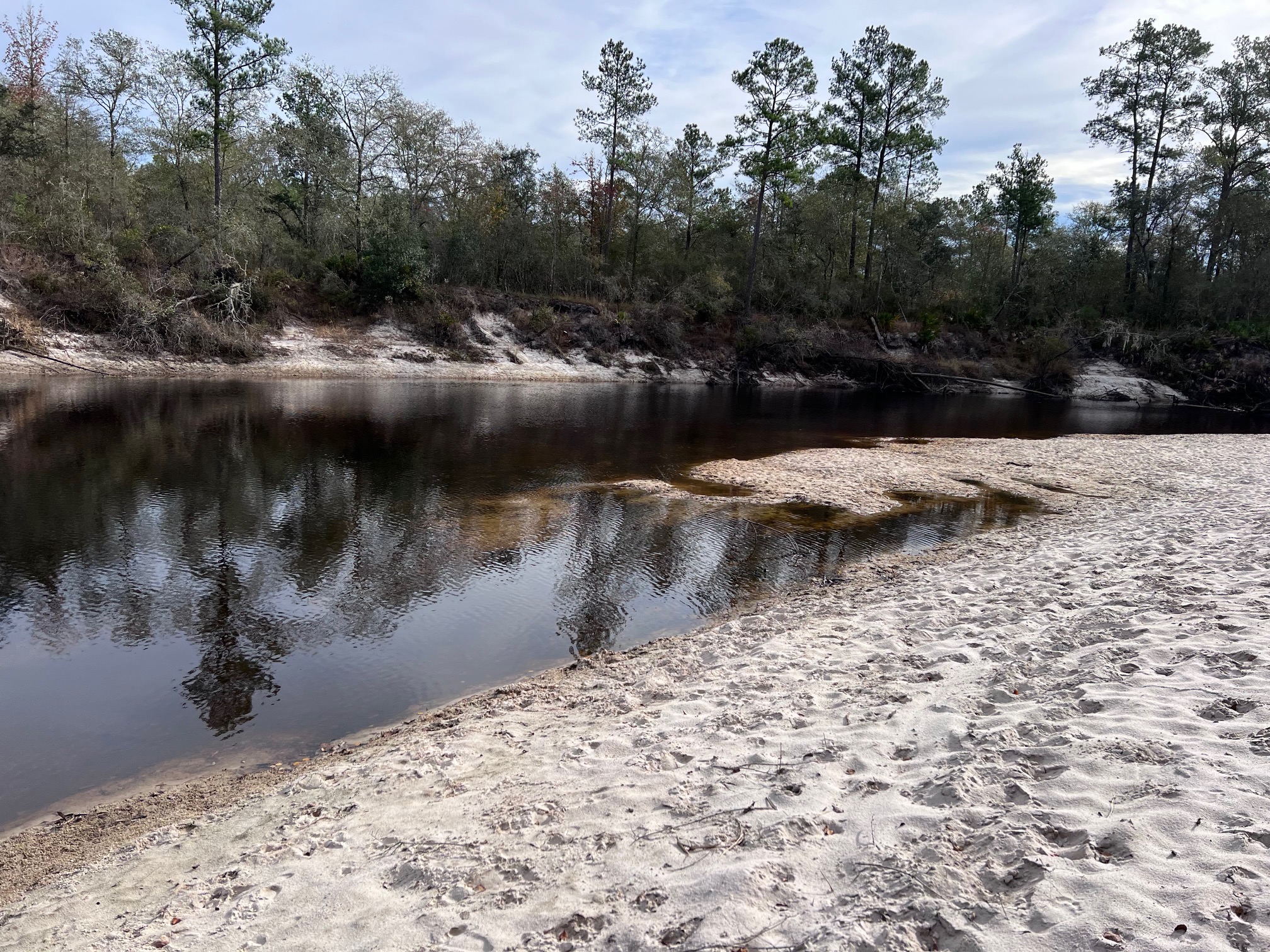 US 84 Bridge, Naylor Park Beach, Alapaha River @ US 84 2022-11-17