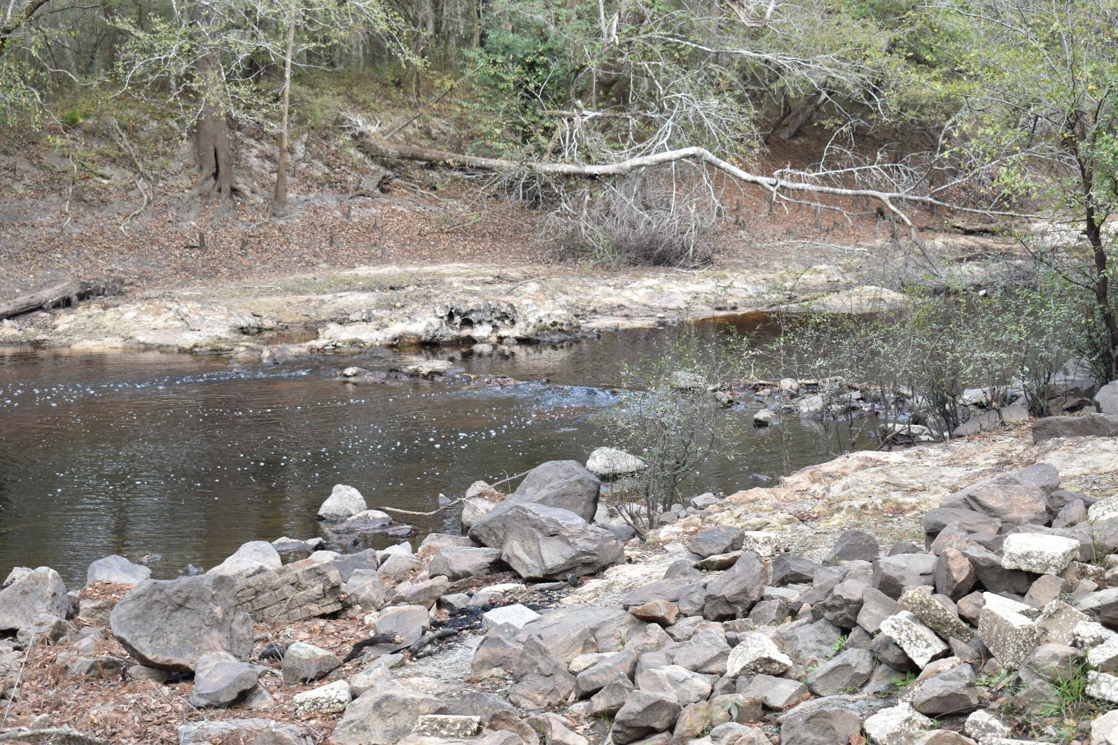 Troupville Boat Ramp, Little River @ GA 133 2022-11-17