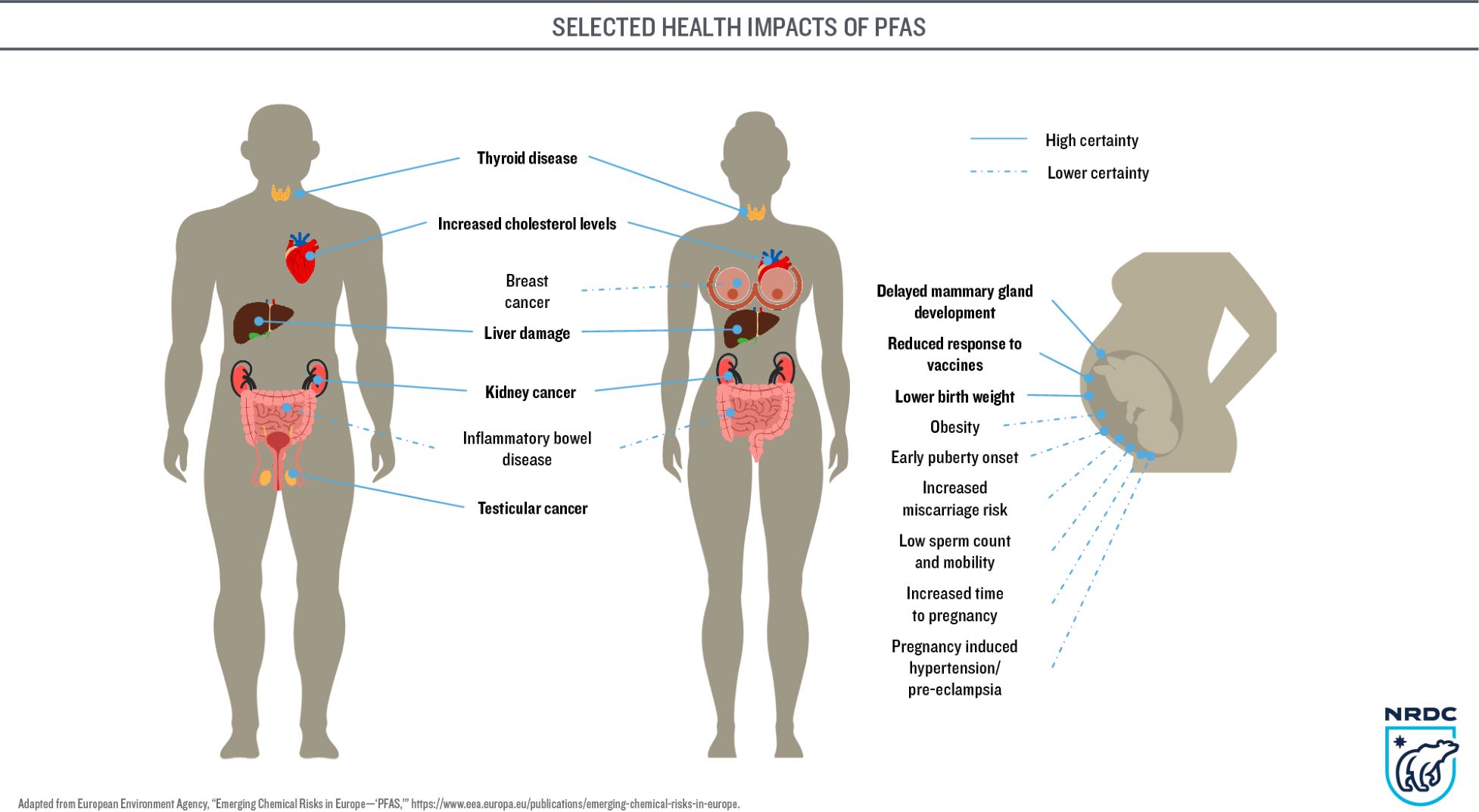 PFAS health impacts --Credit: NRDC Source: European Environment Agency, Emerging Chemical Risks in Europe—PFAS