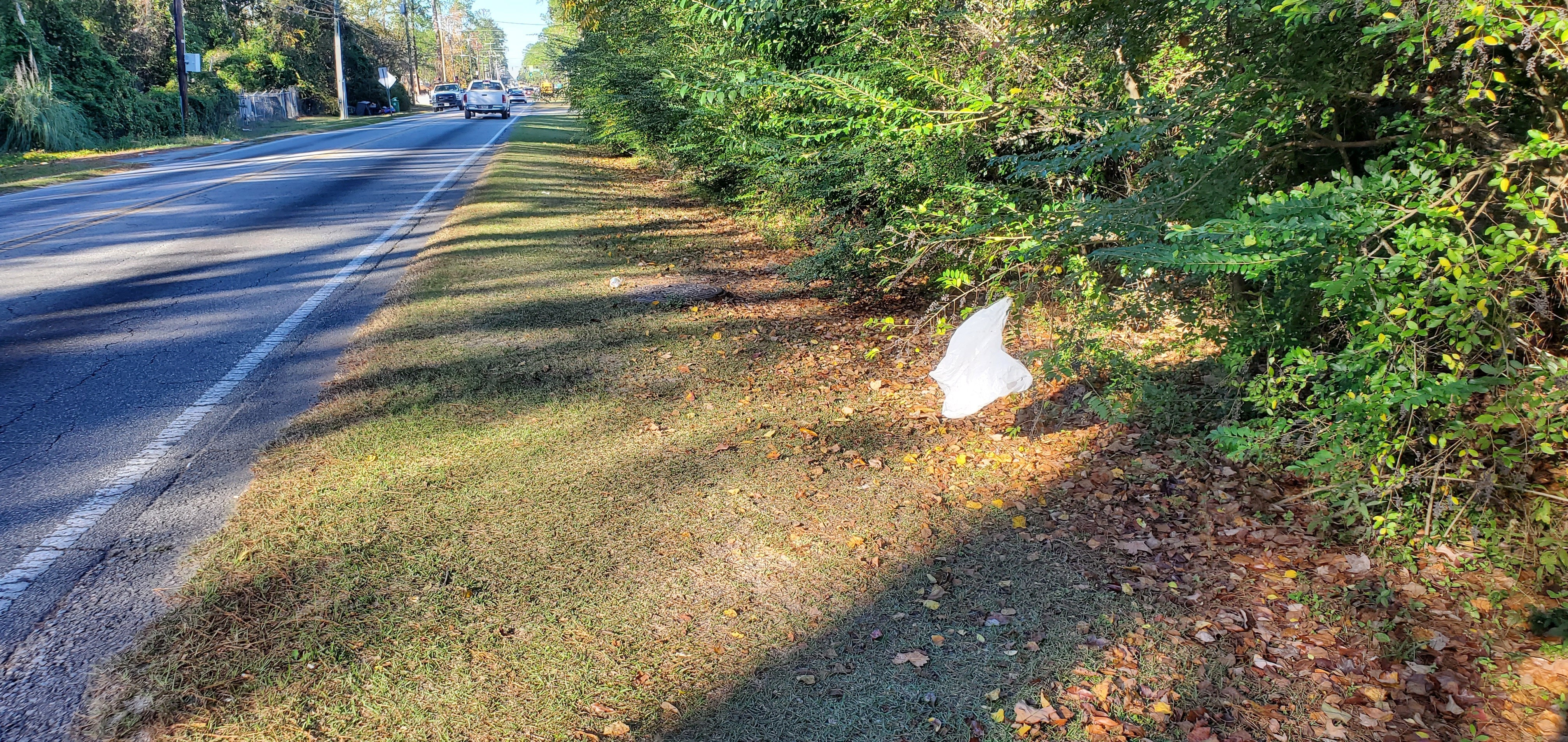 Plastic bag, 2022:12:01 15:20:48, 30.8541571, -83.2661140