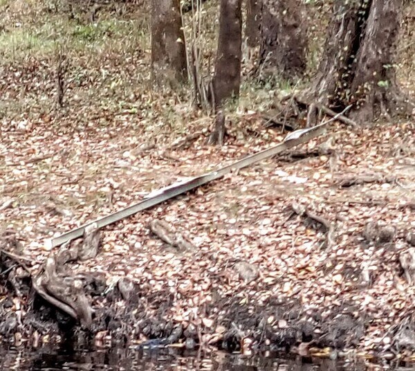 Nankin Boat Ramp Sign, Withlacoochee River @ Clyattville-Nankin Road 2022-11-26