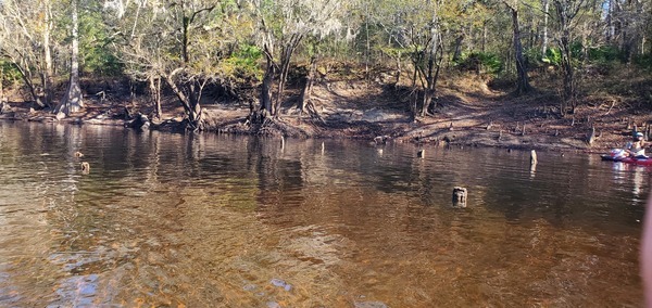 More Knight Bridge posts with paddler, 10:23:56, 30.7110377, -83.4547304