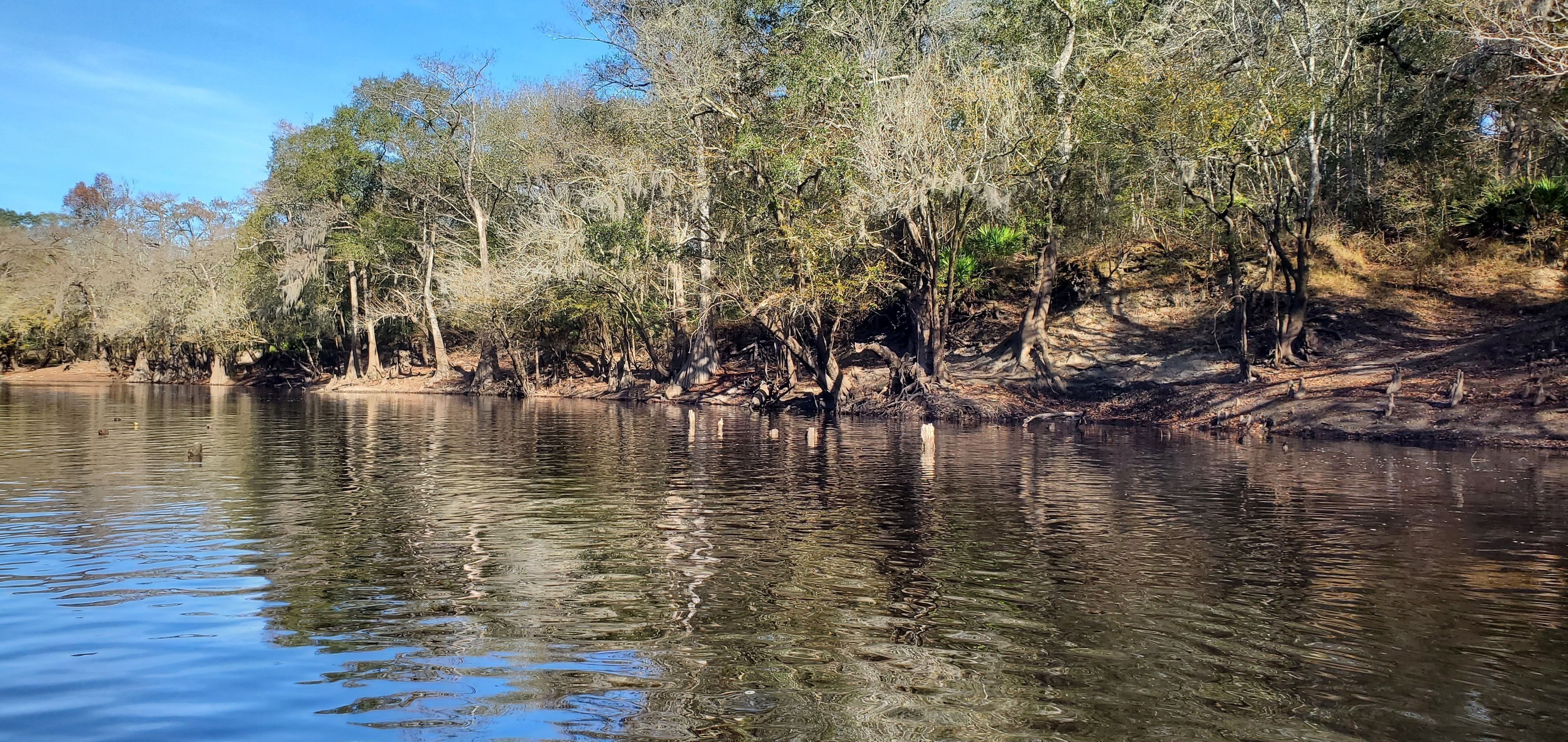 Knight Bridge posts across river, 10:24:24, 30.7110377, -83.4547304