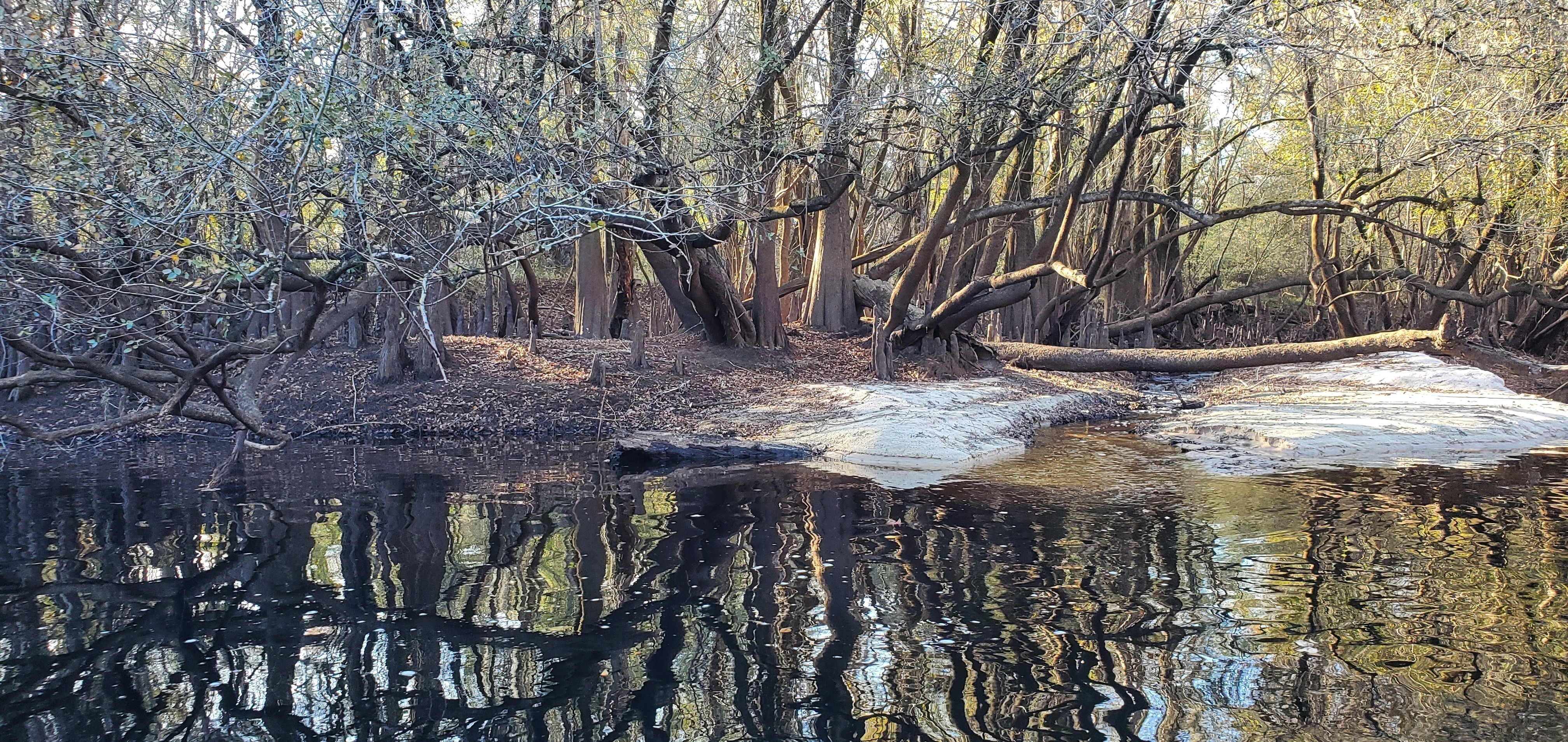 River Bend Plantation Creek, 15:16:56, 30.6754104, -83.4159989