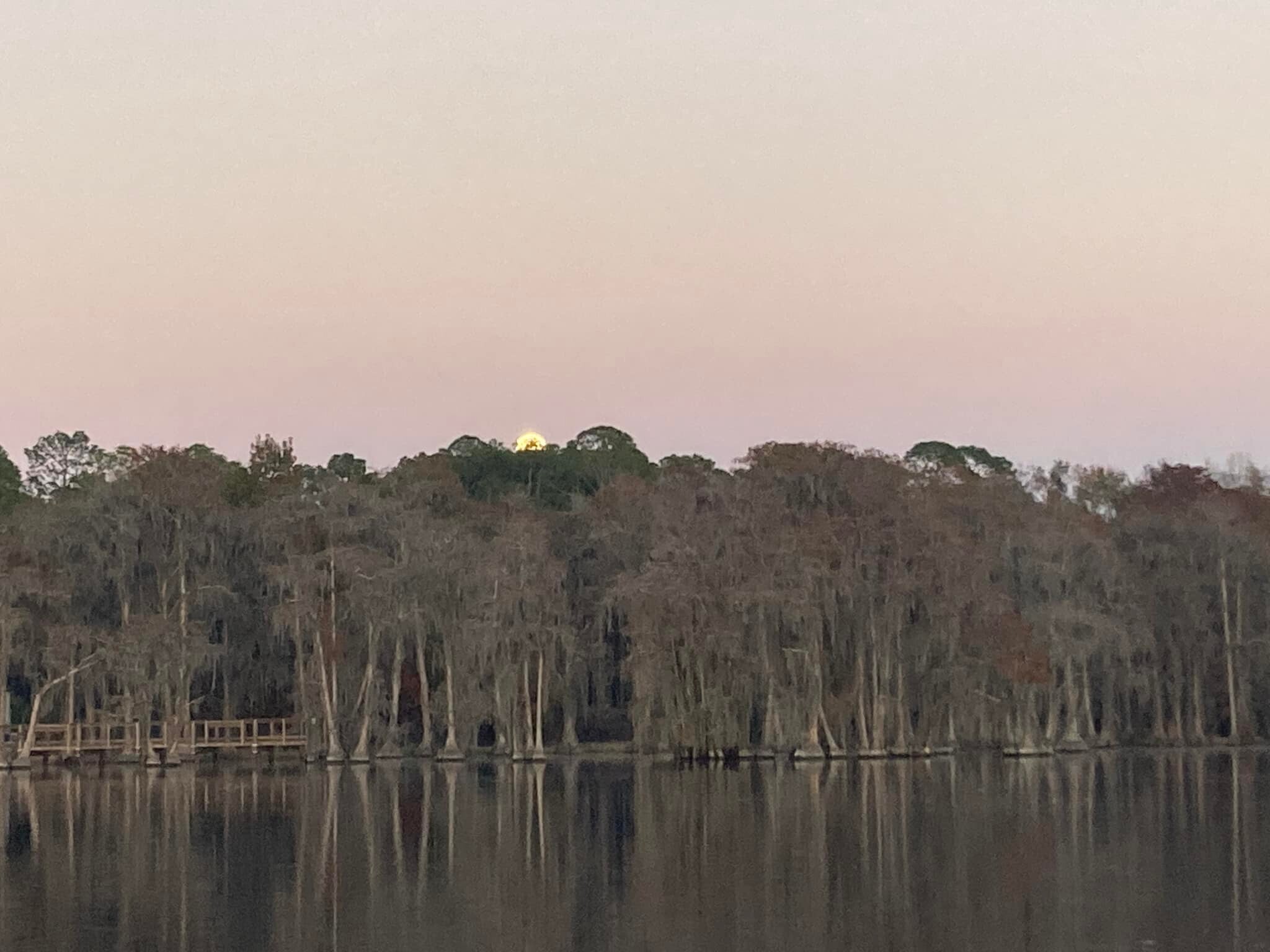 Yellow moonrise --Gretchen Quarterman