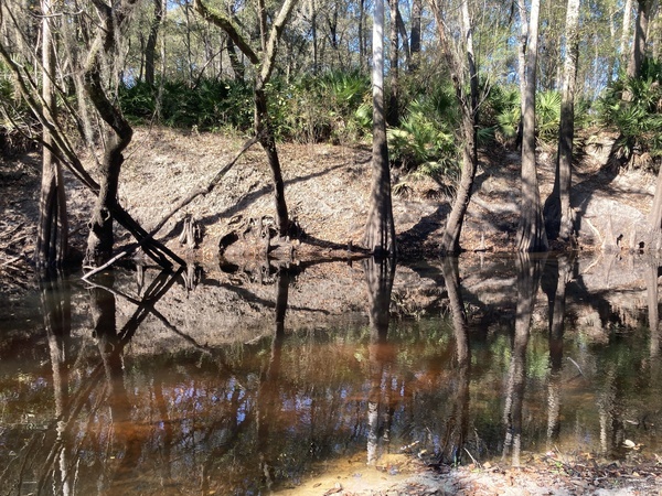 Staten Road across, Withlacoochee River @ Staten Road 2022-12-06