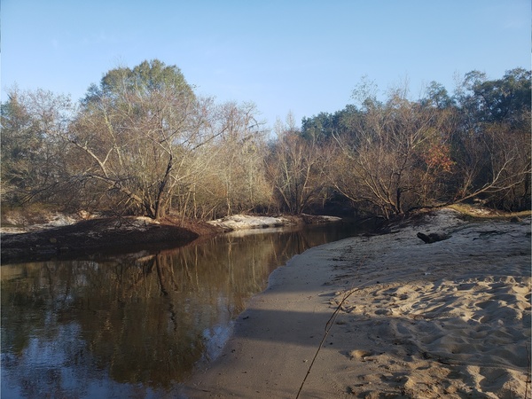 Folsom Bridge Landing upstream, Little River @ GA 122 2022-12-08