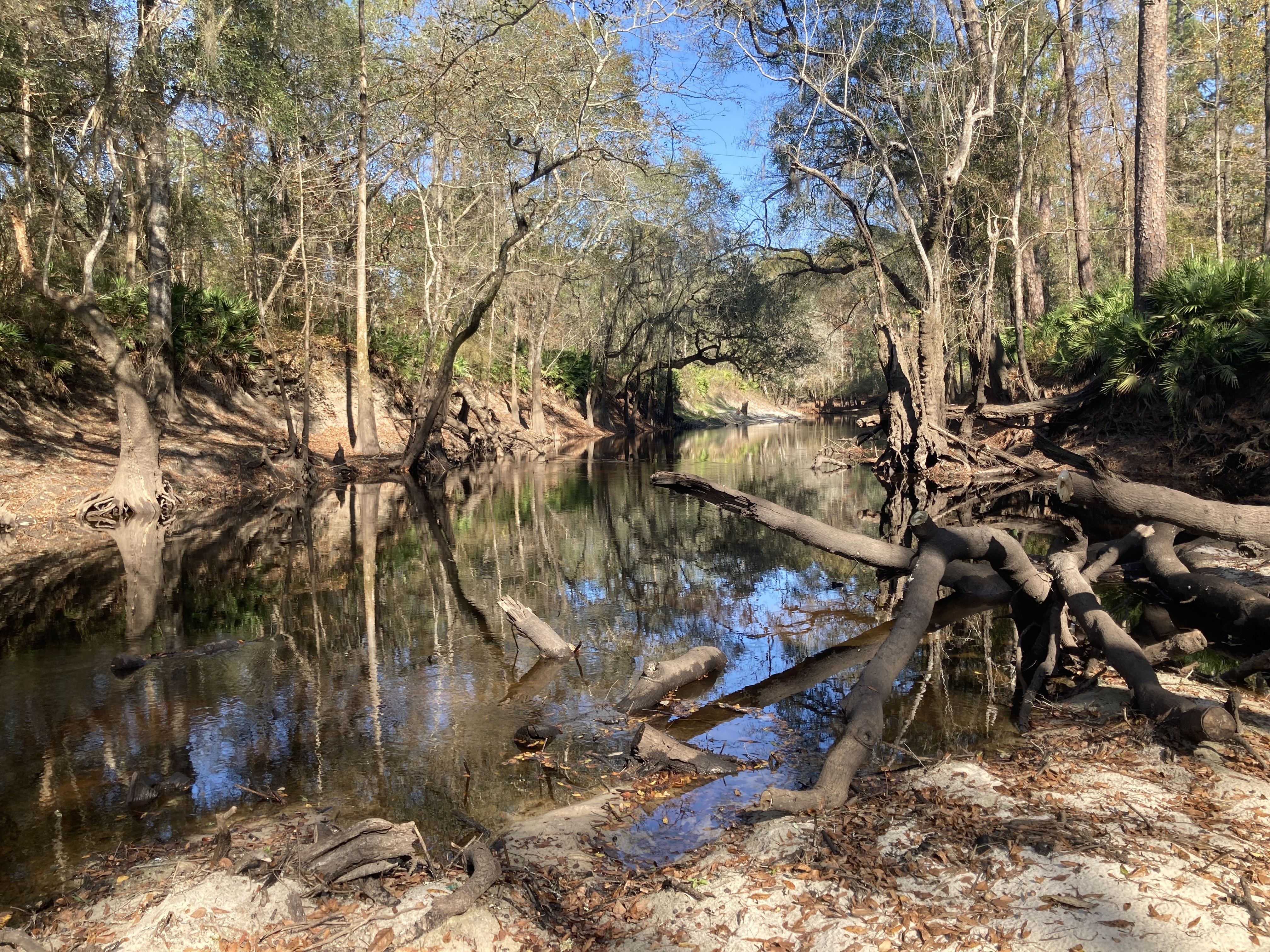 Staten Road upstream, Withlacoochee River @ Staten Road 2022-12-06