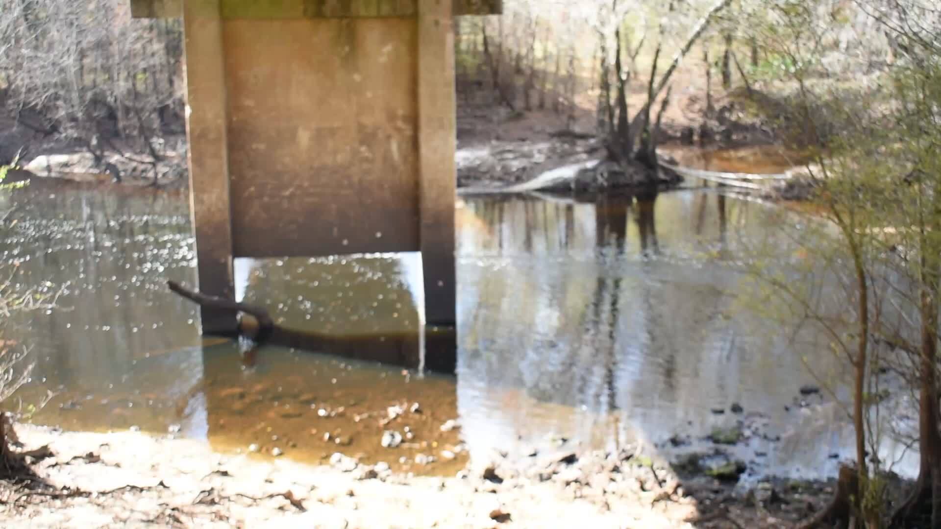 Movie: Nankin Boat Ramp Water Level, Withlacoochee River @ Clyattville-Nankin Road 2022-12-08