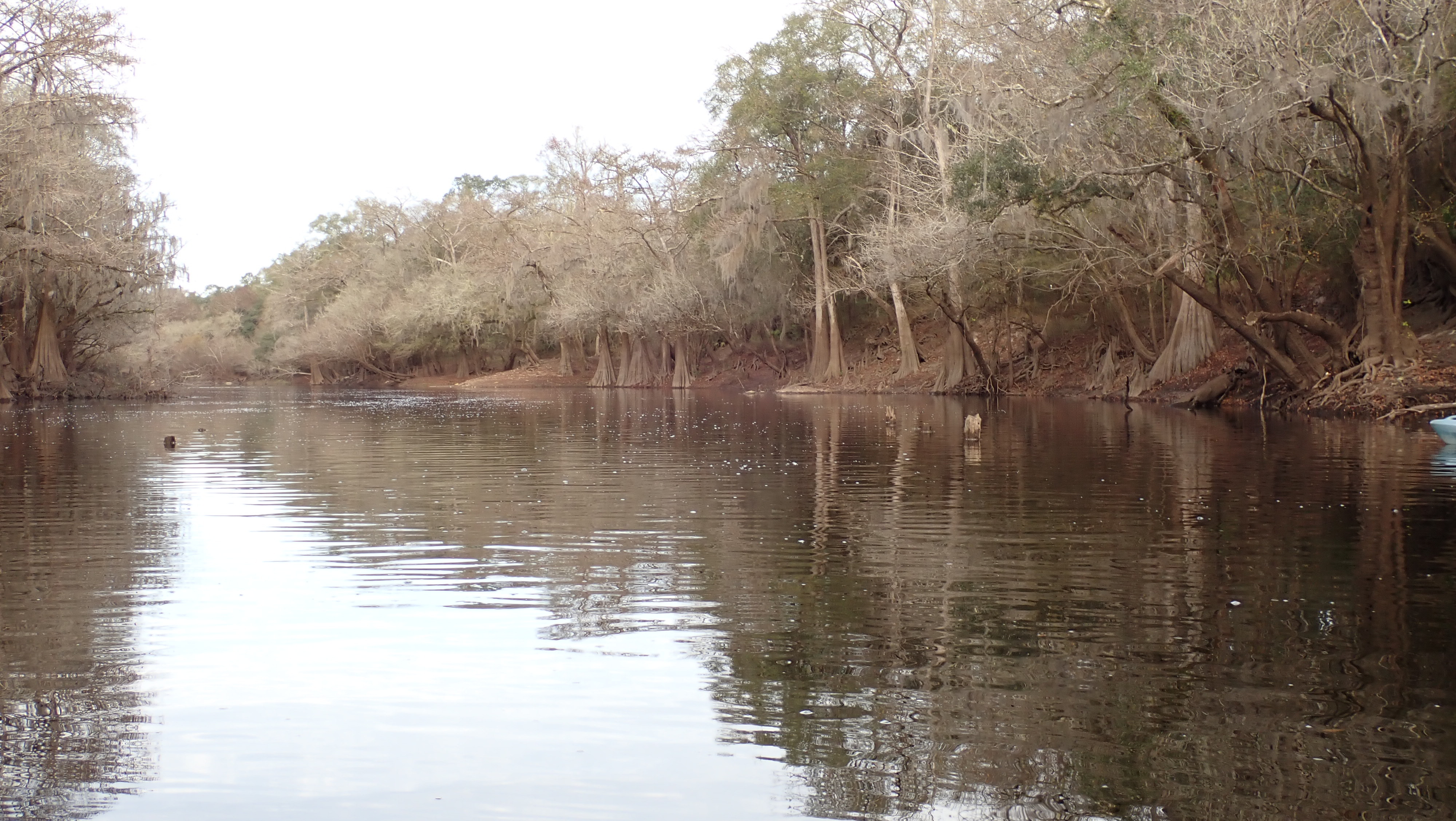 2022-12-17--knights-ferry.html Knights Ferry Boat Ramp, Withlacoochee River, 2022-12-17