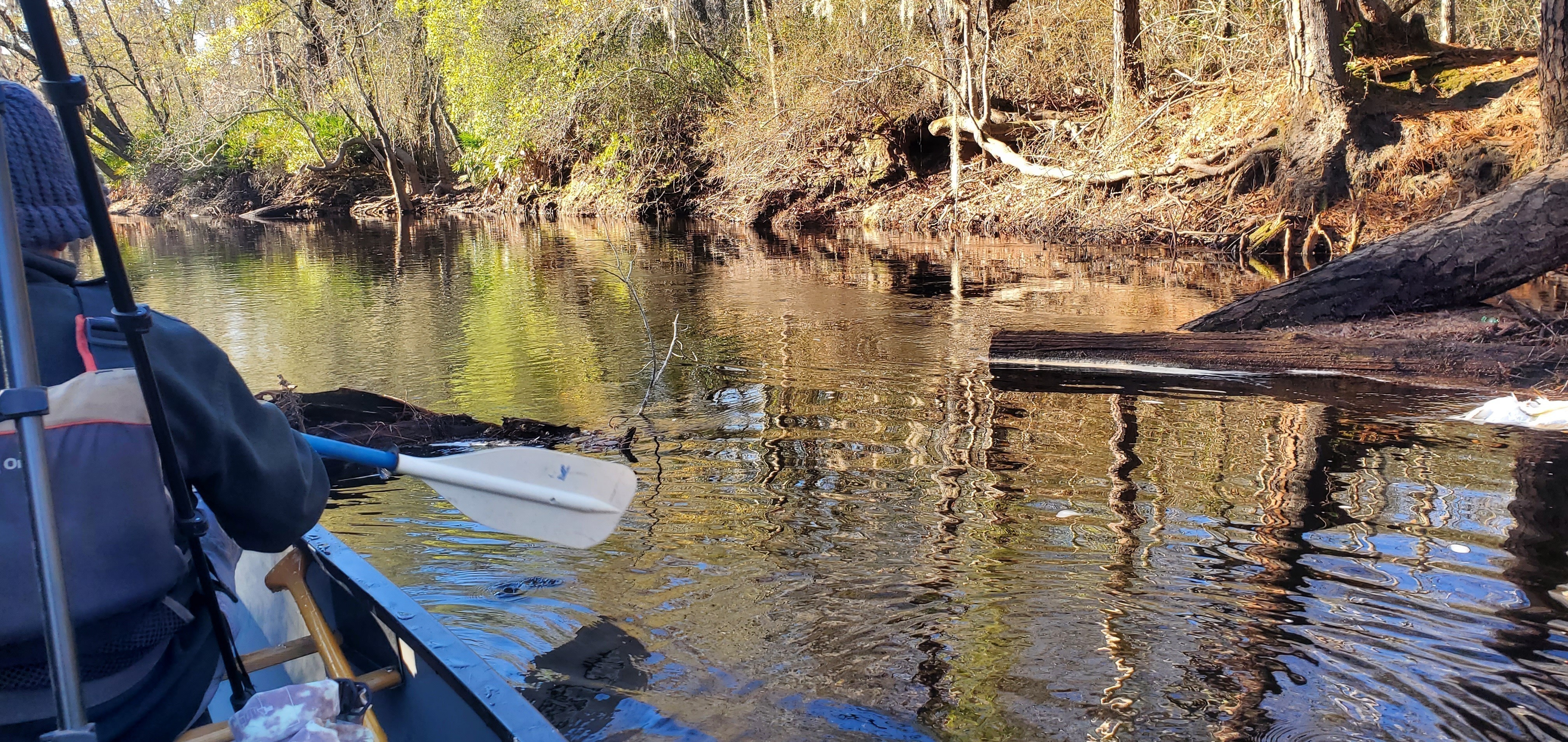 Sawed log, right bank, 09:49:52, 30.7772846, -82.4679113