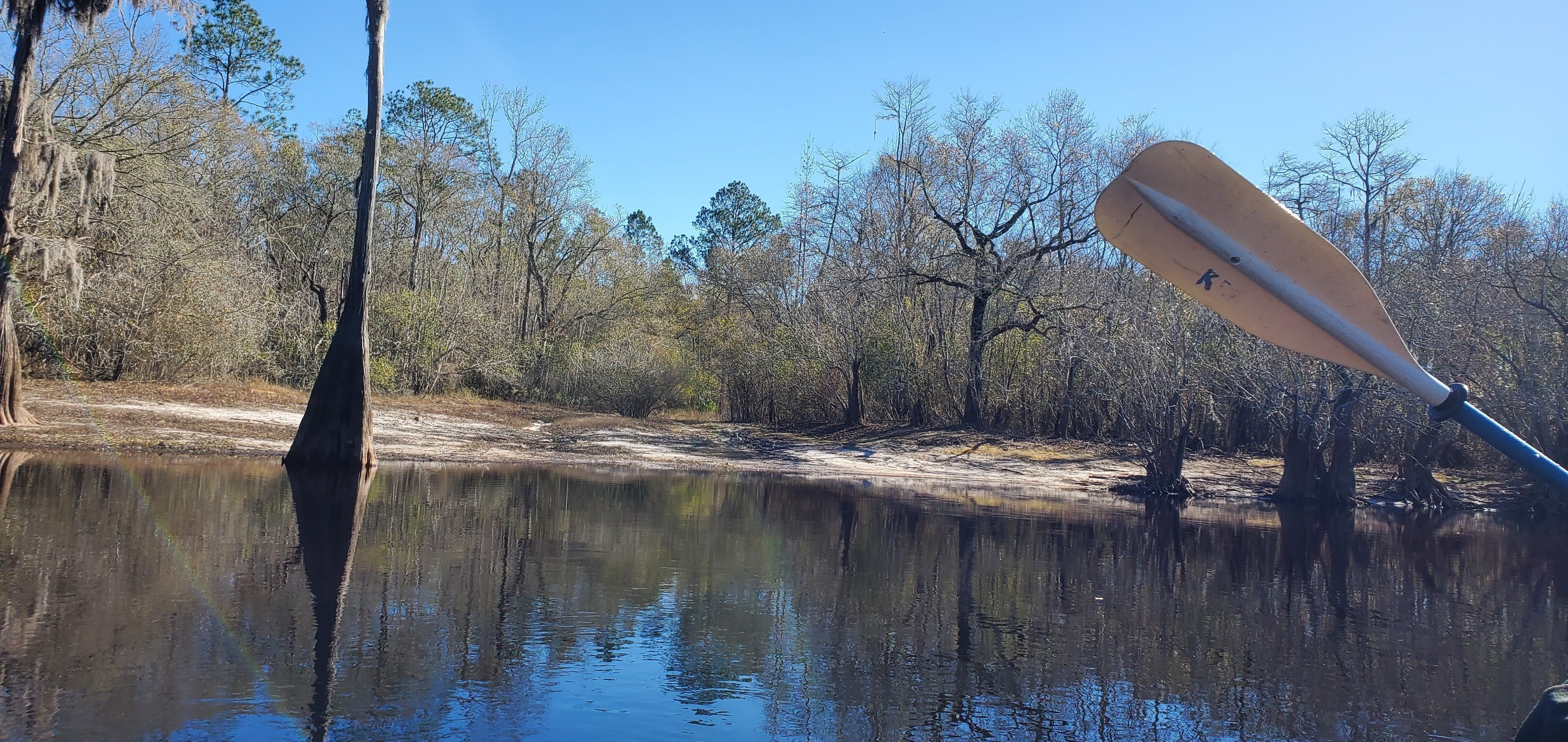 Drawdy Mill Landing, left bank, 11:37:25, 30.7410204, -82.4922735