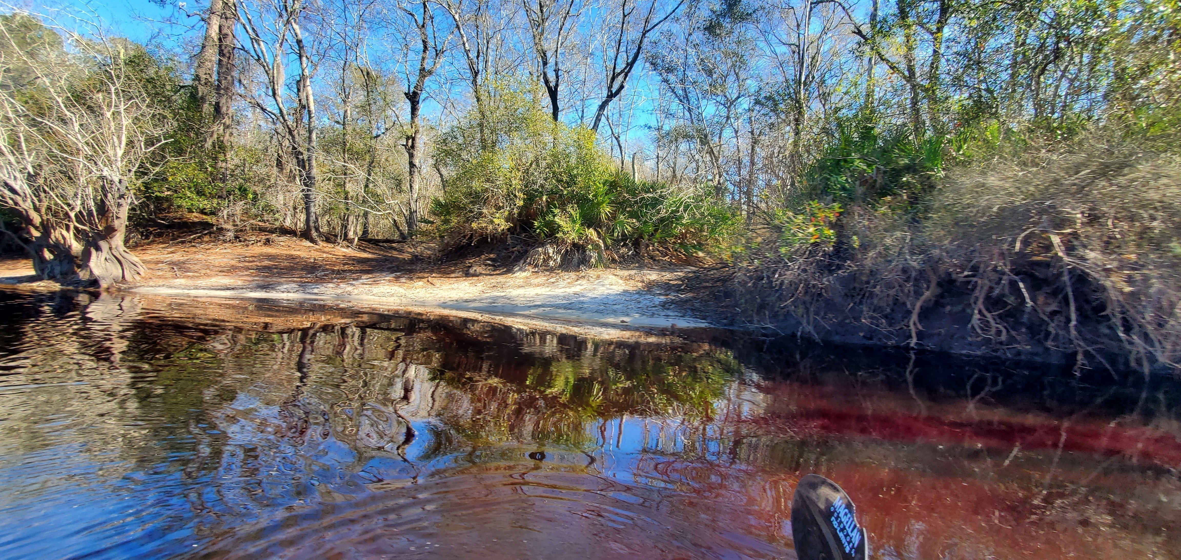 Context, Private Palmetto Landing, left bank, 11:54:19, 30.7307753, -82.4979875