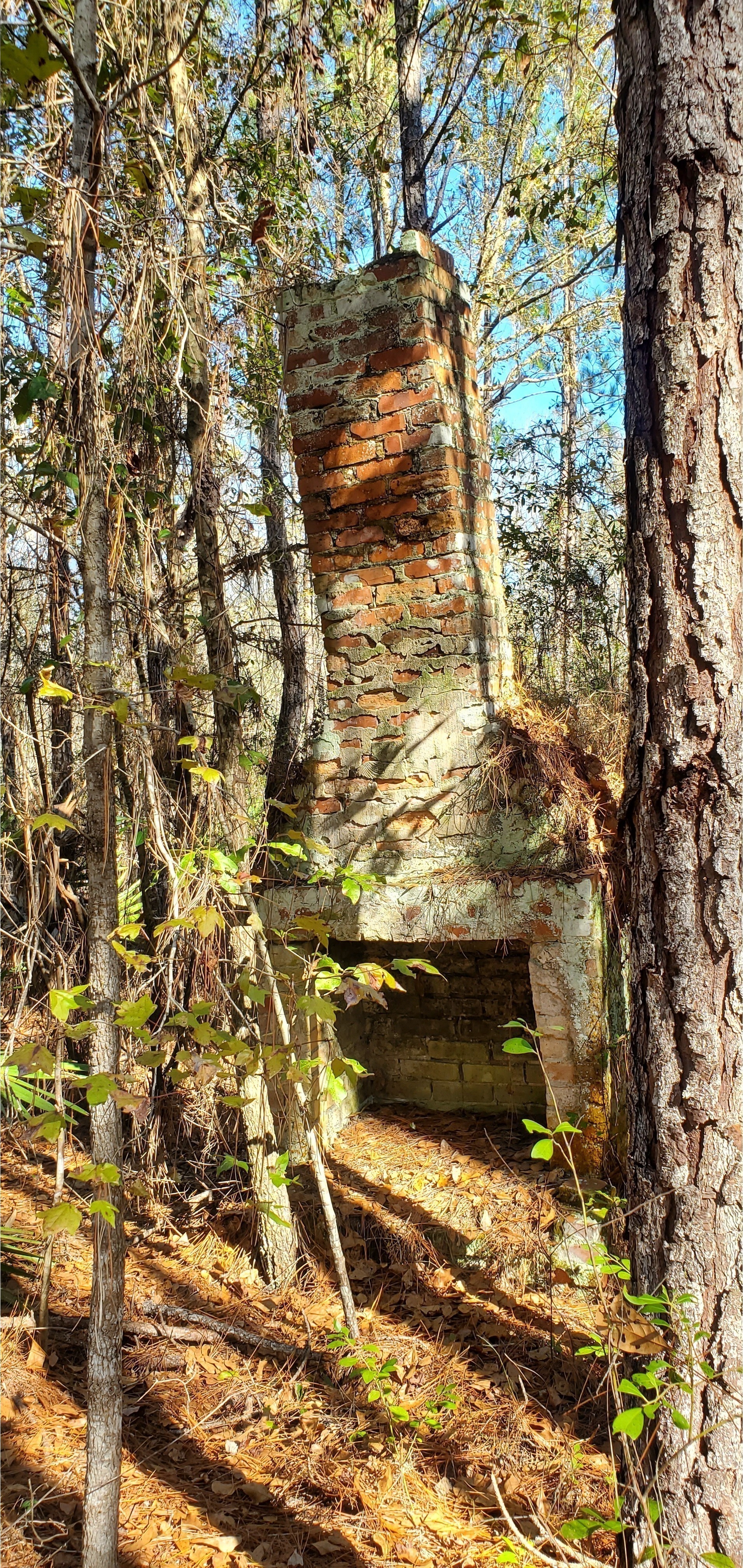 Front of chimney at Three Steps Landing, 12:51:22, 30.7150405, -82.5096914